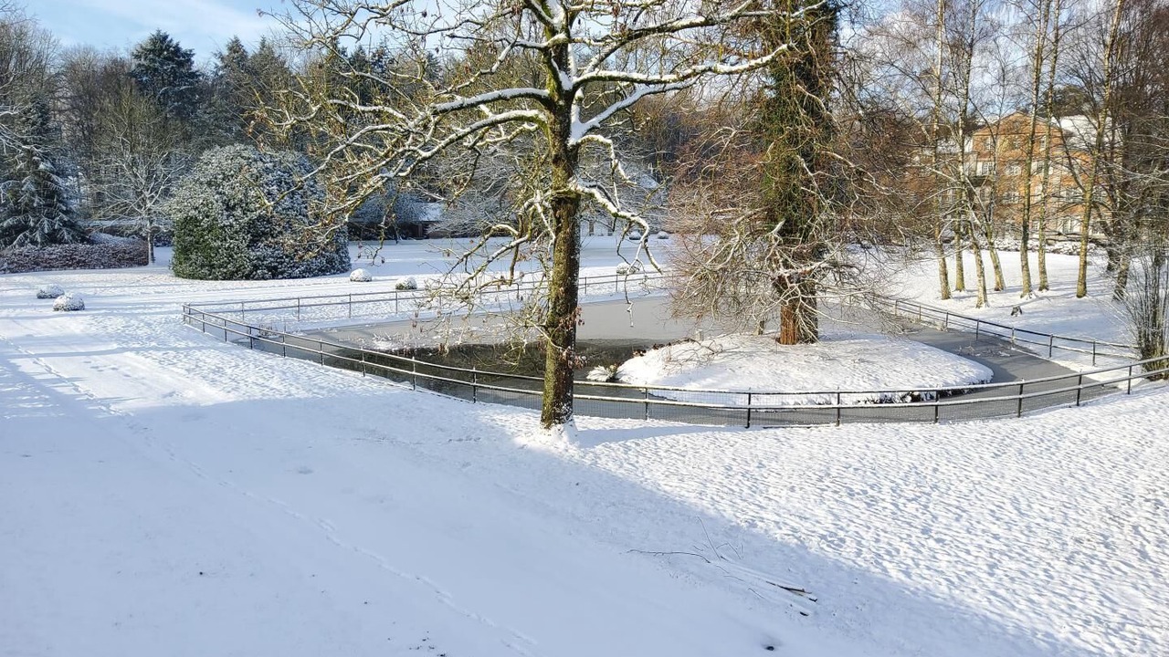 Photo of Others in Cottevrard