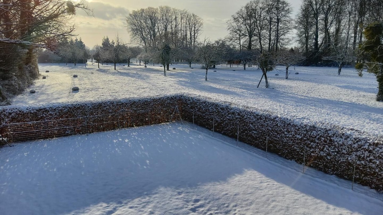 Photo of Others in Cottevrard