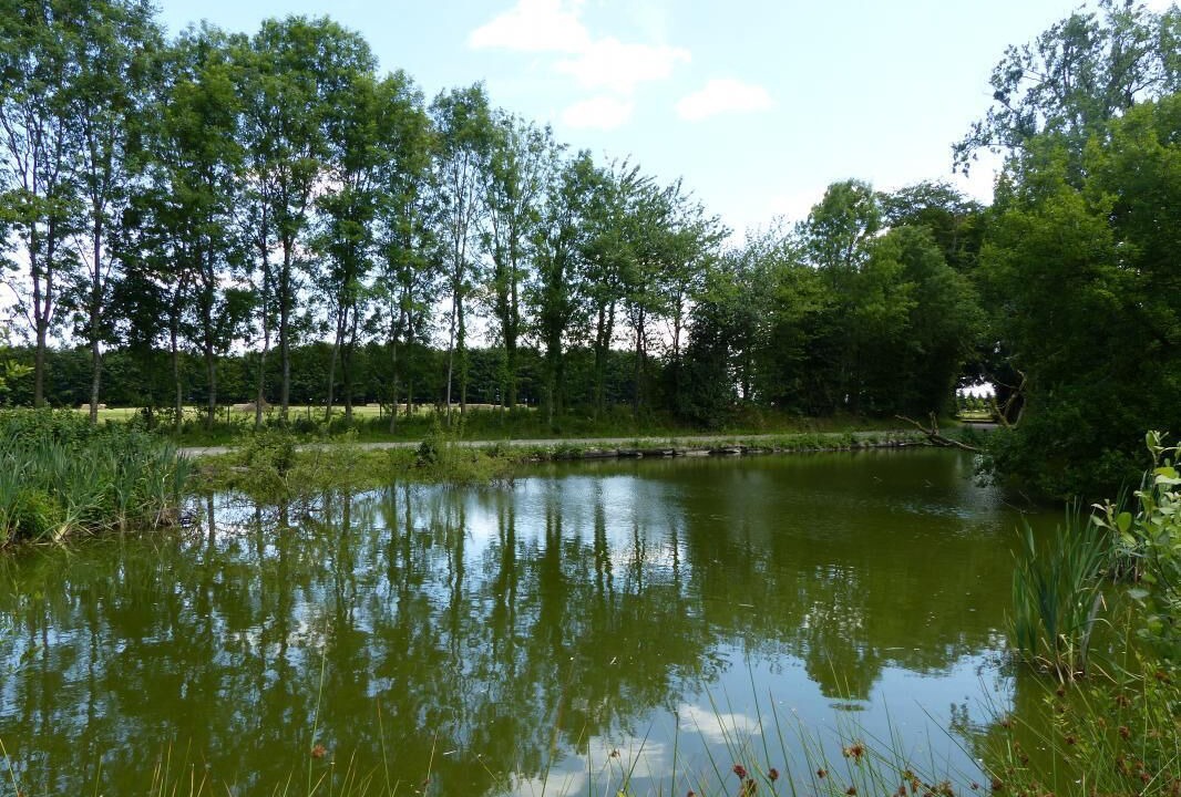 Photo of Others in Cottevrard