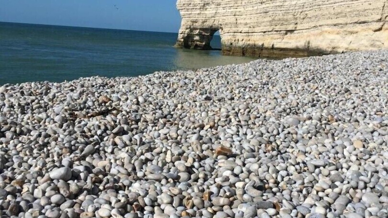 Photo of Others in Bordeaux-Saint-Clair