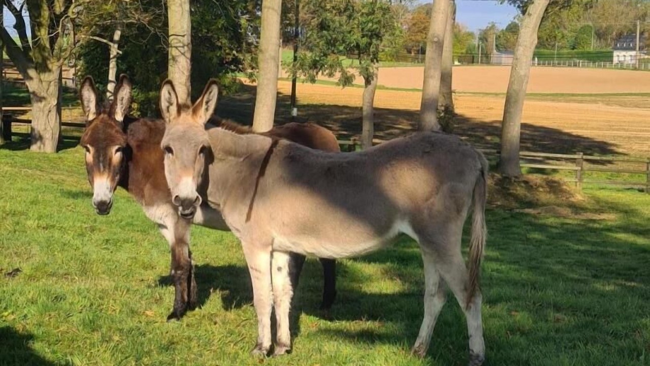 Photo of Others in Ypreville-Biville