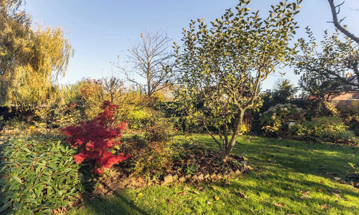 Photo of Outdoor in Arques-la-Bataille