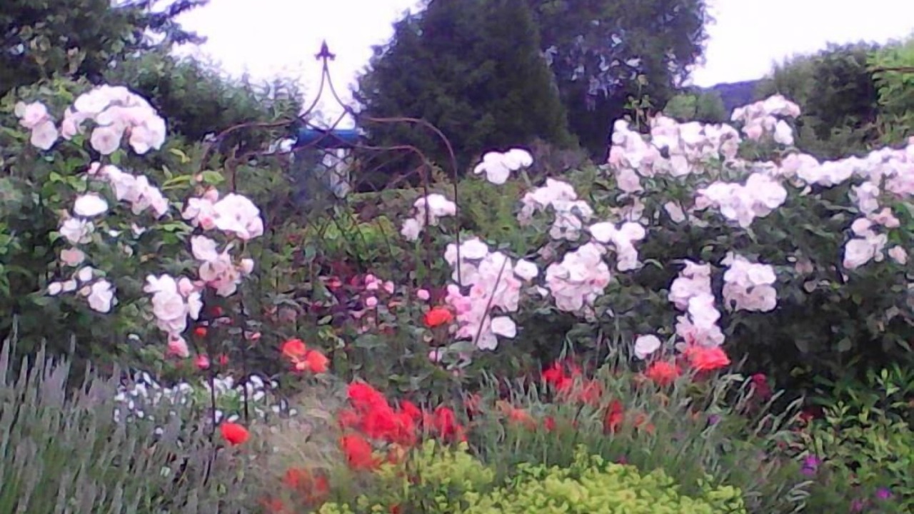 Photo of Outdoor in Arques-la-Bataille