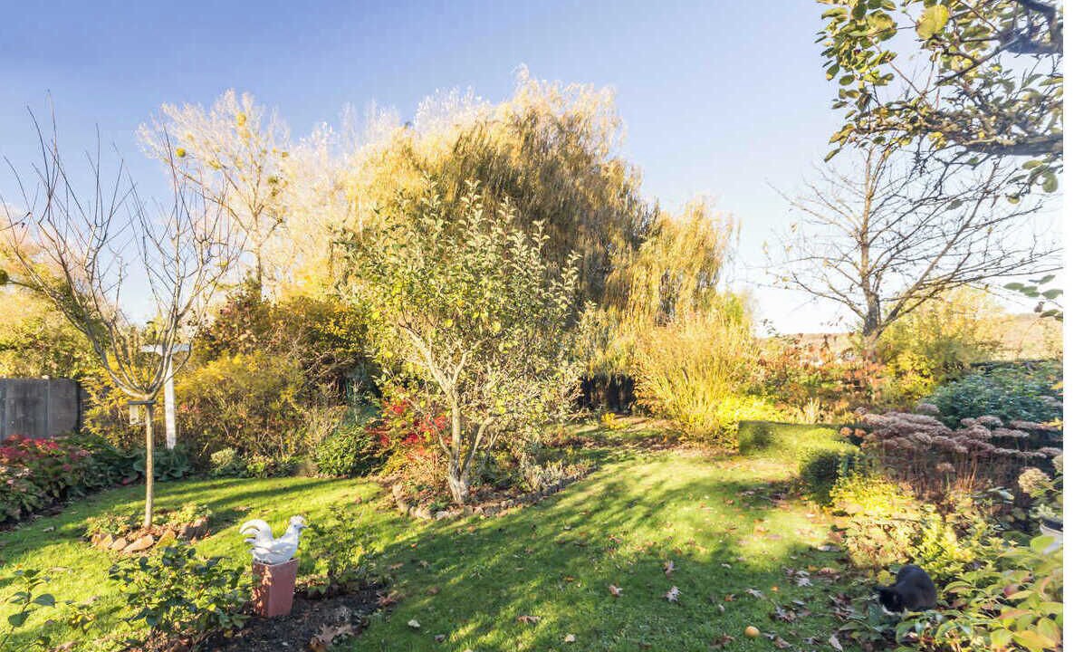 Photo of Outdoor in Arques-la-Bataille