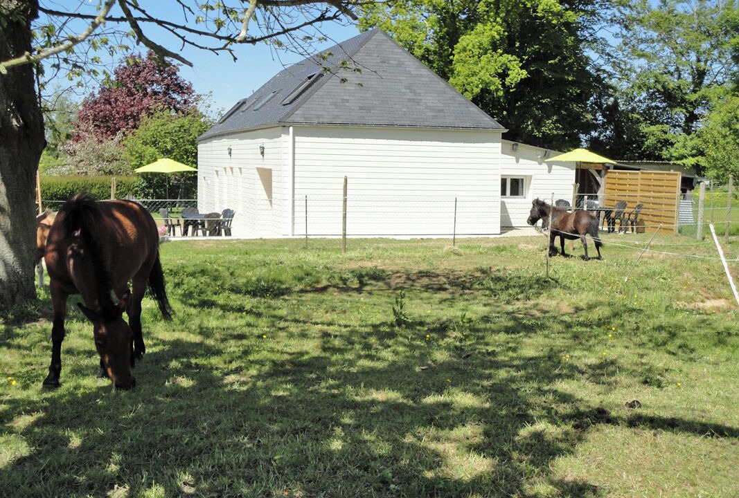 Photo of Others in Vattetot-sur-Mer