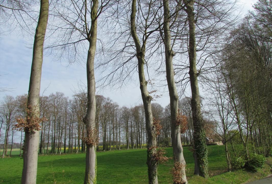 Photo of Others in Ermenouville