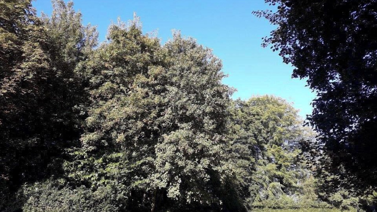 Photo of Others in Saint-Aubin-Routot