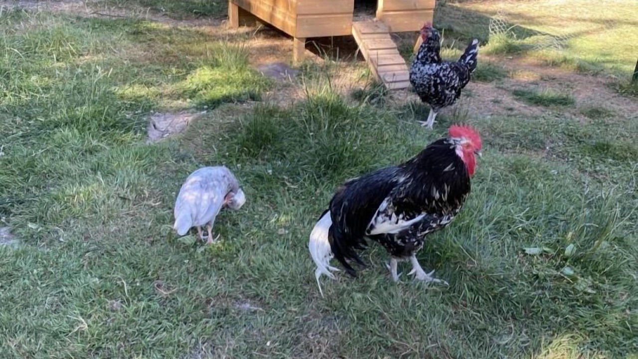 Photo of Outdoor in Roumare