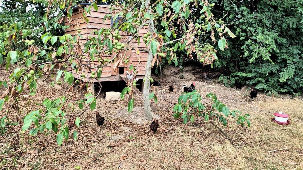 Photo of Outdoor in Roumare