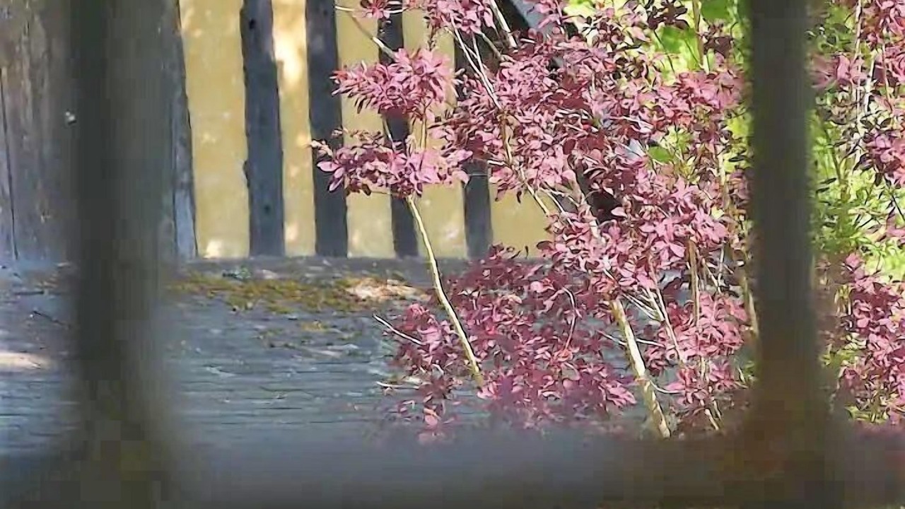 Photo of Outdoor in Villequier