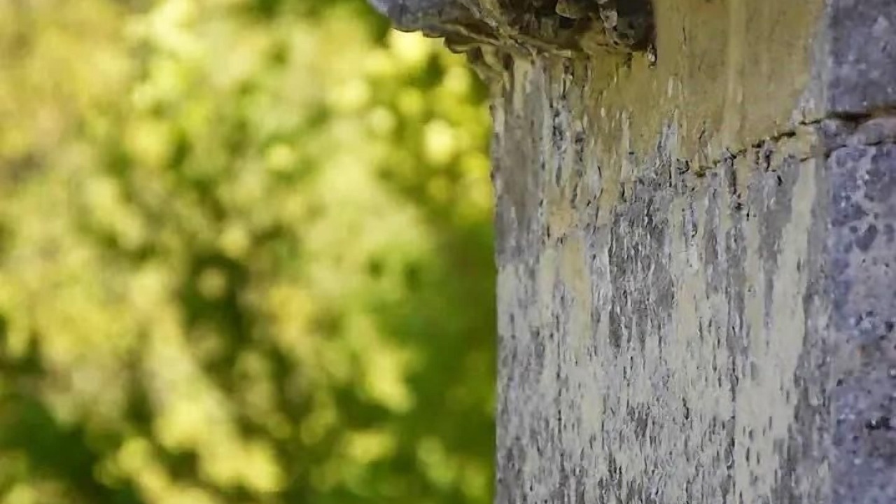 Photo of Outdoor in Villequier