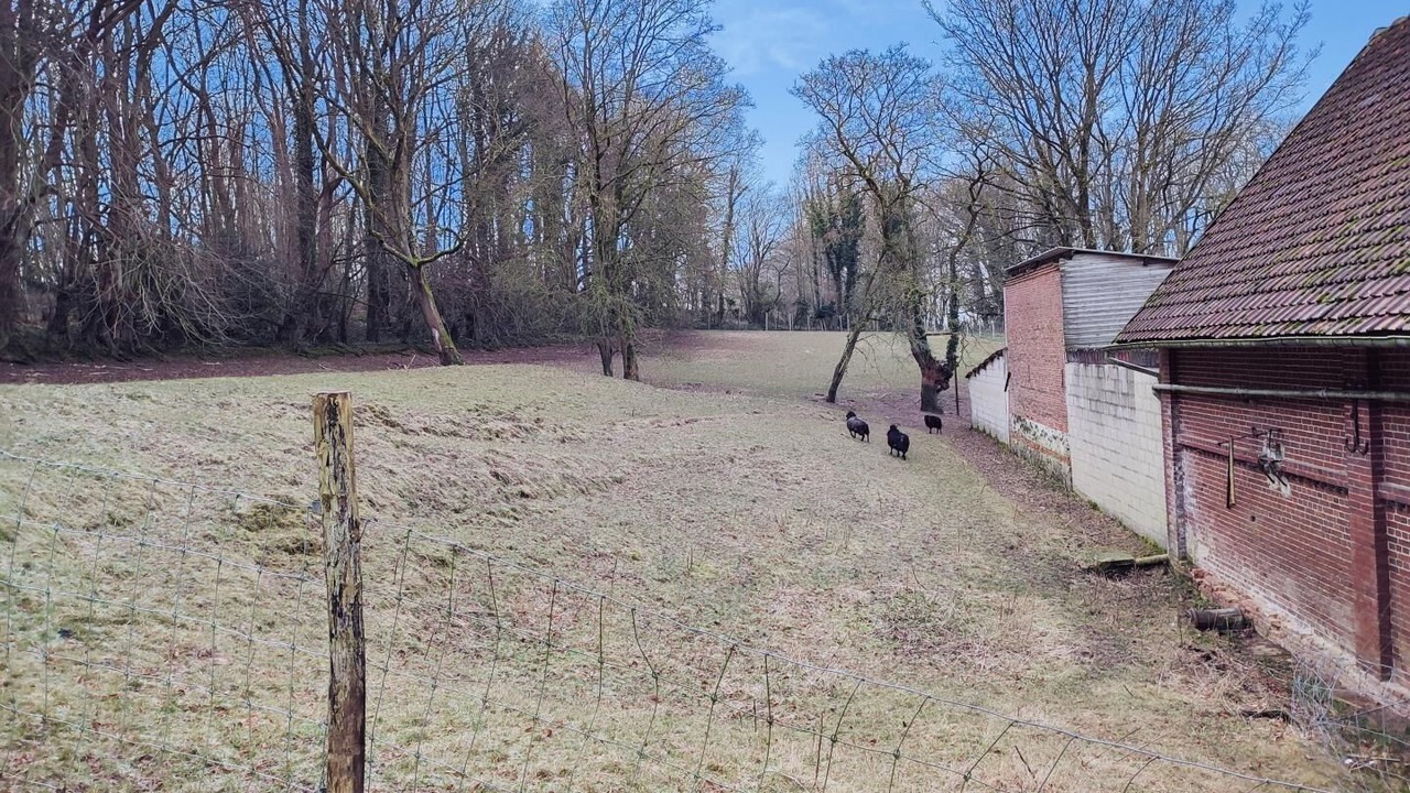 Photo of Others in Eu
