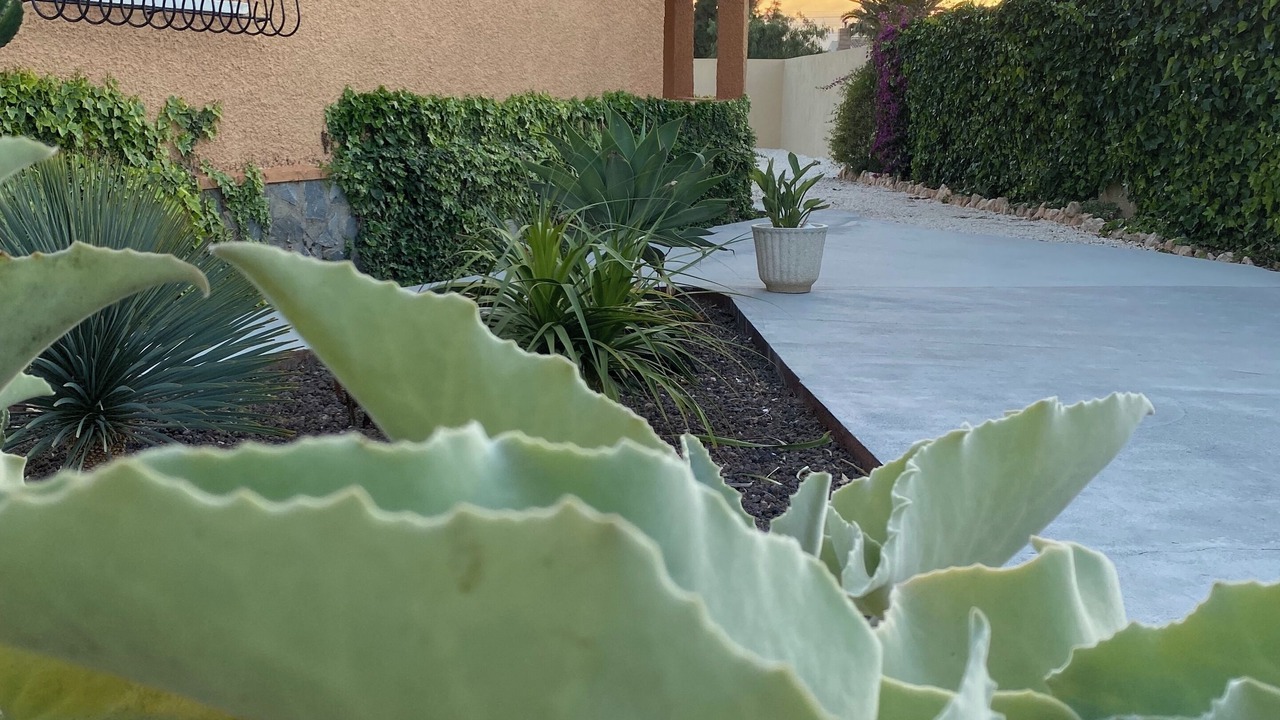 Photo of Outdoor in San Luis