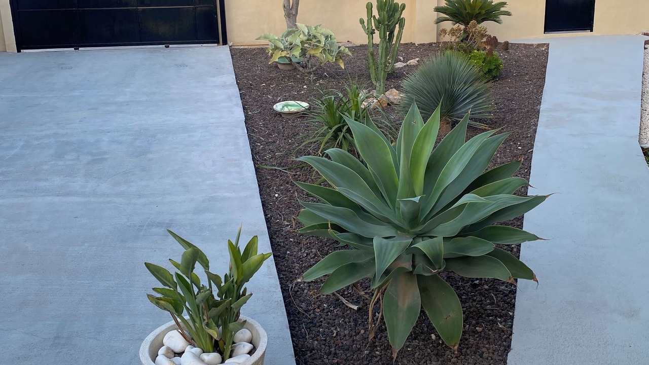 Photo of Outdoor in San Luis