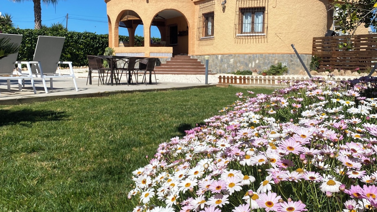 Photo of Outdoor in San Luis