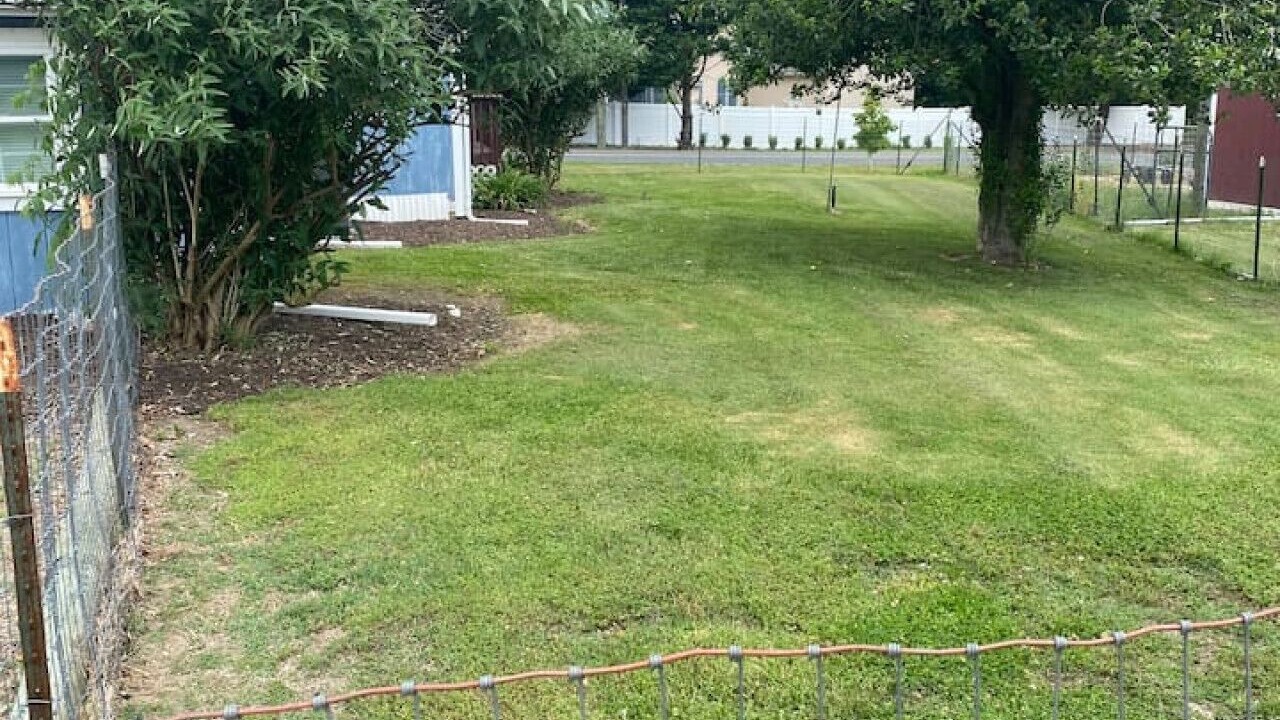 Photo of Outdoor in Lewes