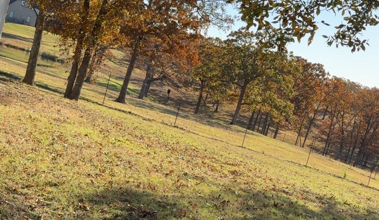 Photo of Others in Sapulpa