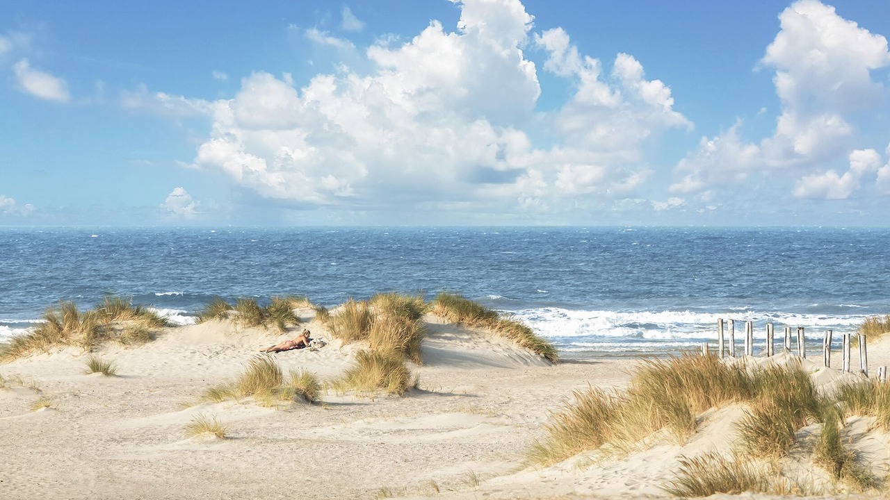 Photo of Others in Dunkerque-Sud