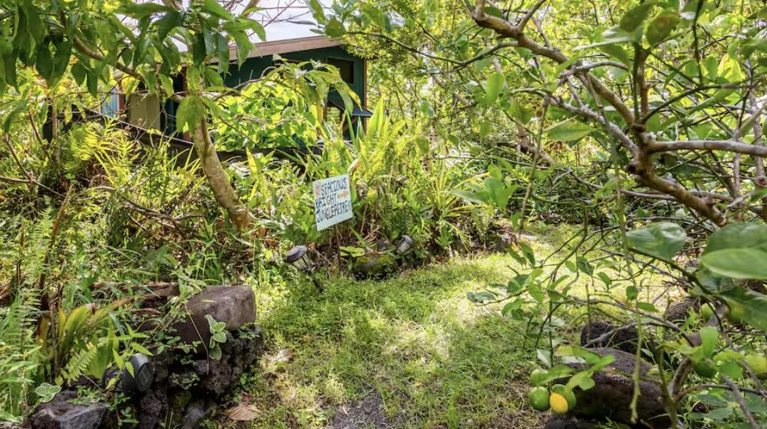 Photo of Others in Pahoa