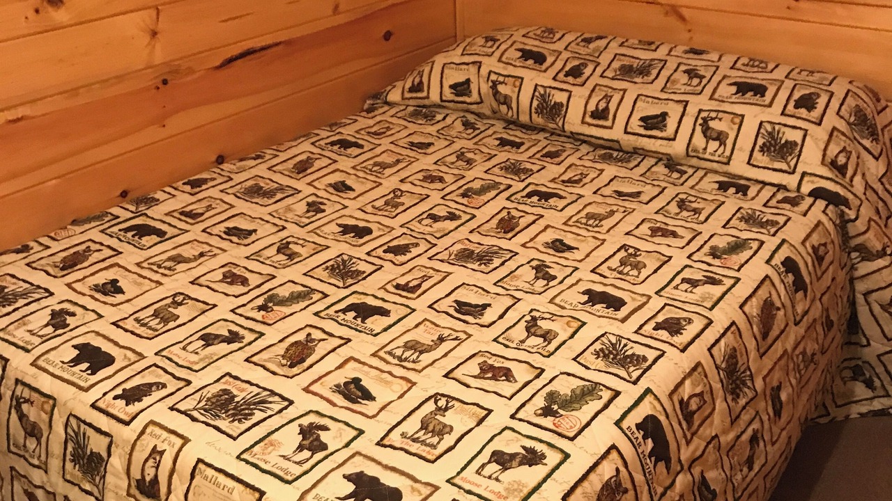 Photo of Bedroom in Speculator