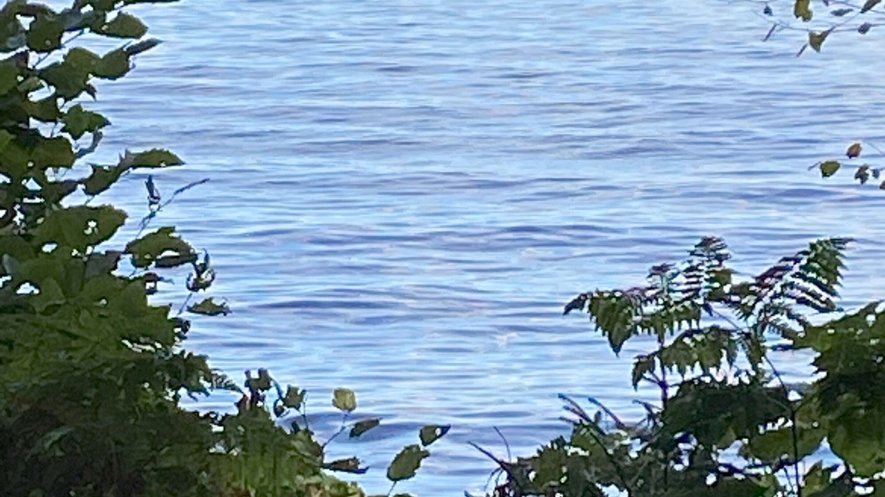 Photo of Others in Speculator