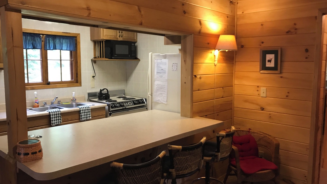 Photo of Kitchen in Speculator
