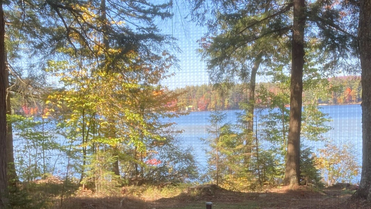 Photo of Others in Speculator