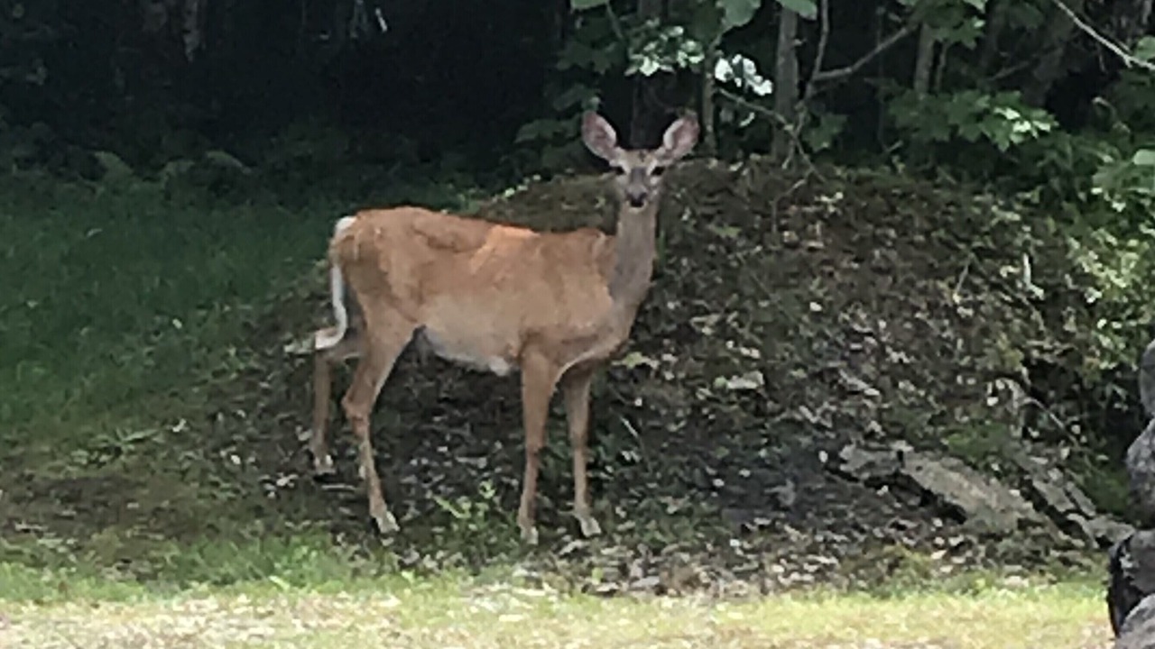 Photo of Others in Speculator