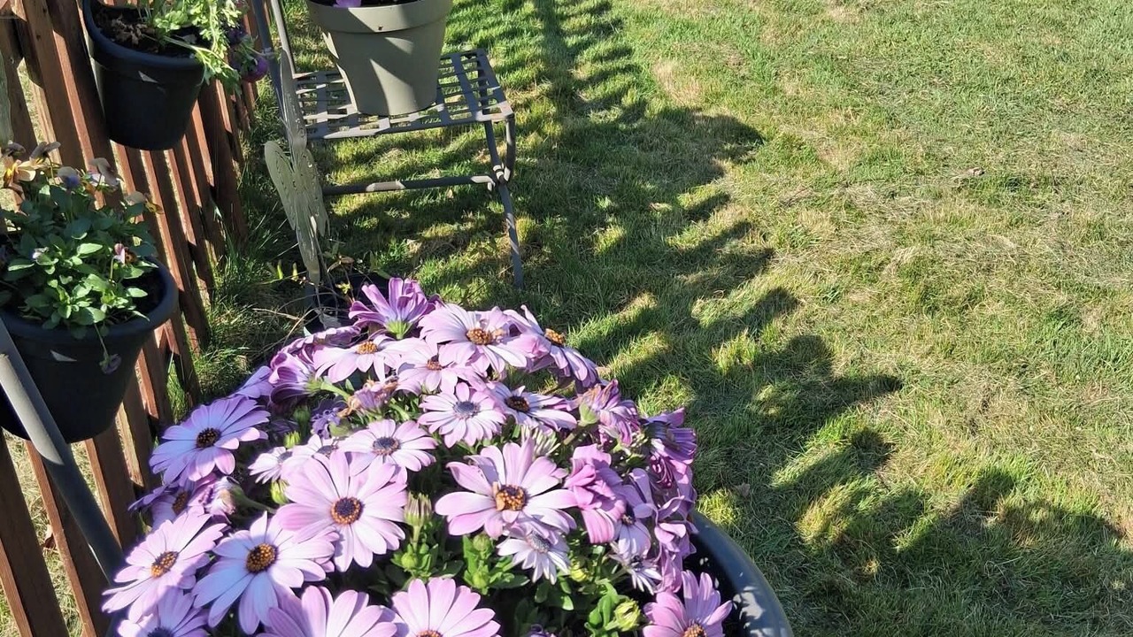 Photo of Outdoor in Raon-sur-Plaine
