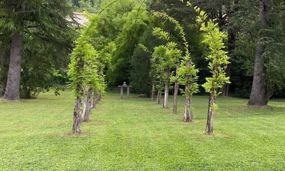 Photo of Outdoor in Tourrettes-sur-Loup