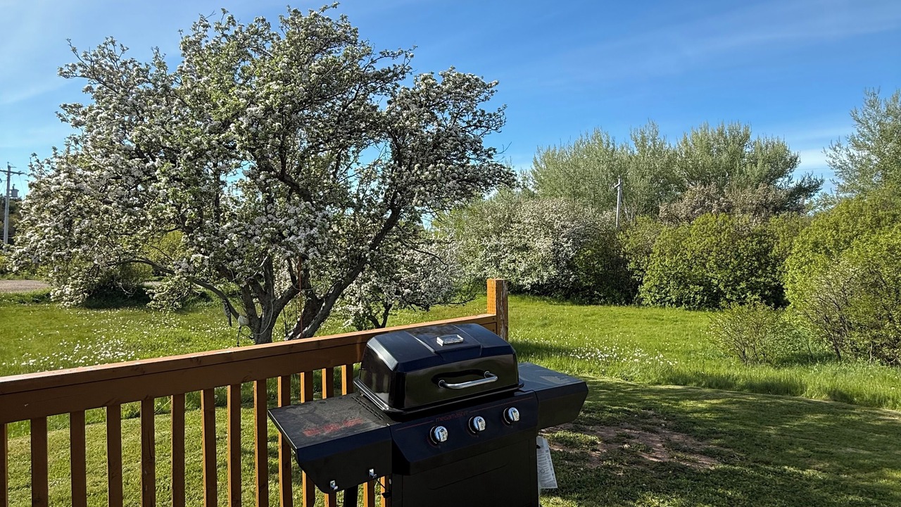 Photo of Outdoor in Cheticamp