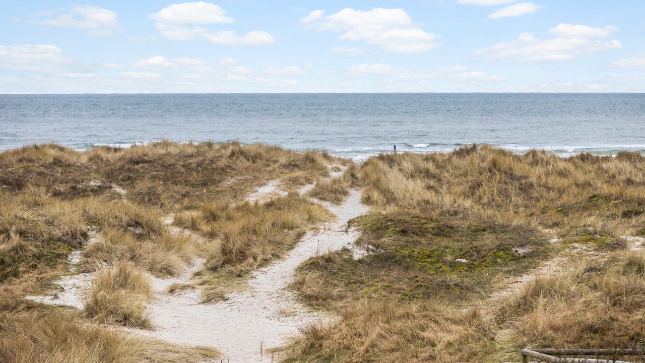 Photo of Others in Grena Strand