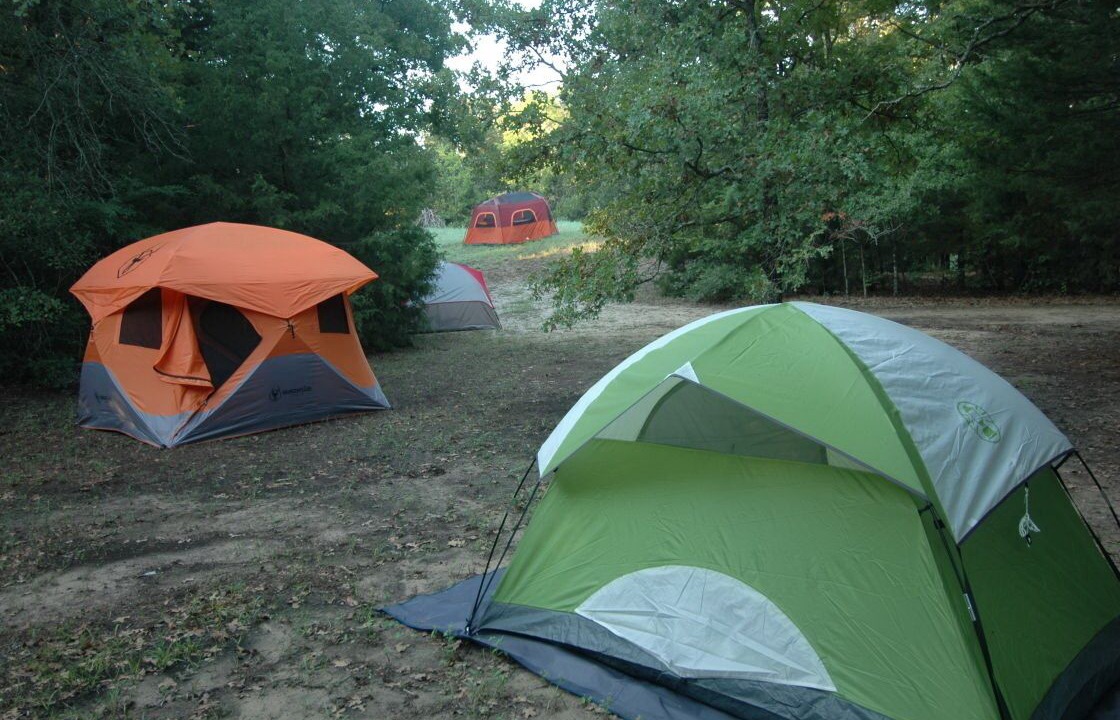 Photo of Outdoor in Elmo