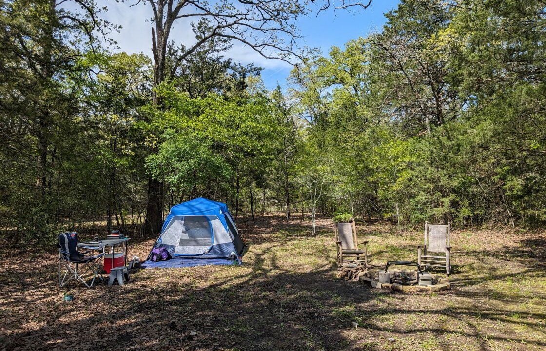 Photo of Outdoor in Elmo