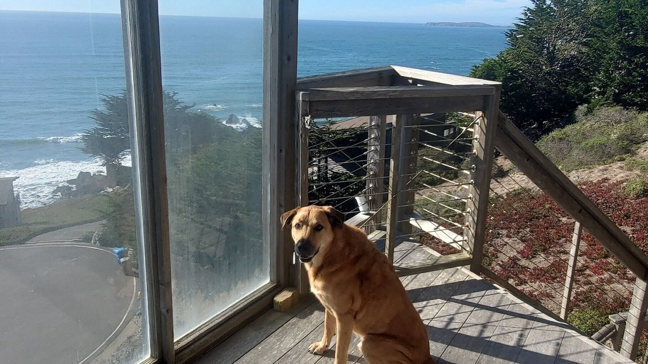 Photo of Others in Dillon Beach