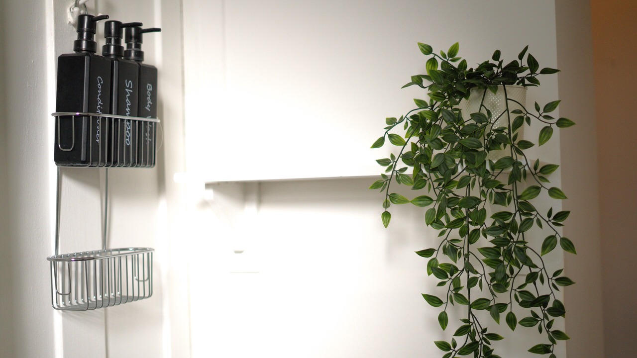 Photo of Others in Belsize