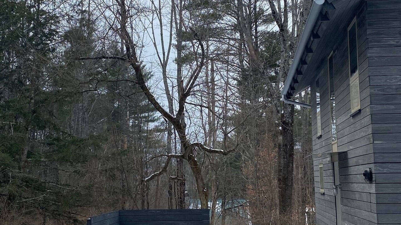 Photo of Patio Balcony in Brownsville