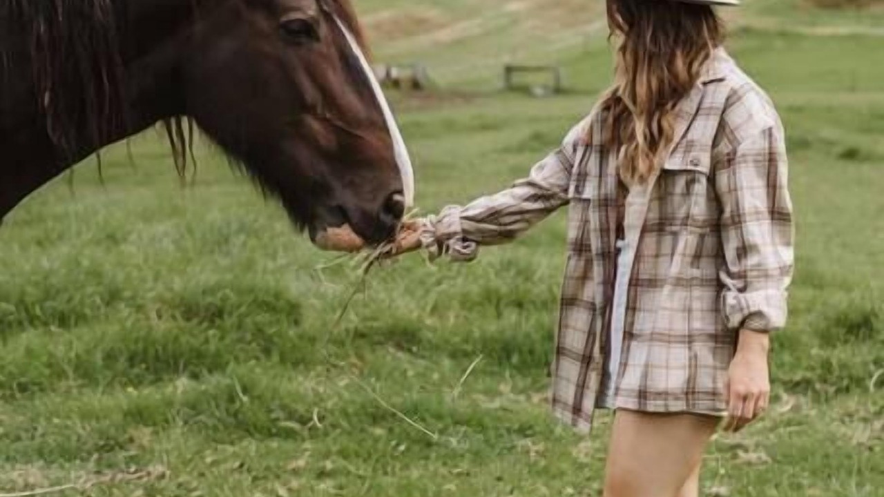 Photo of Others in Barrengarry