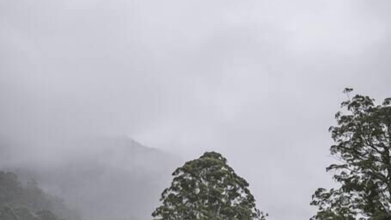 Photo of Others in Barrengarry