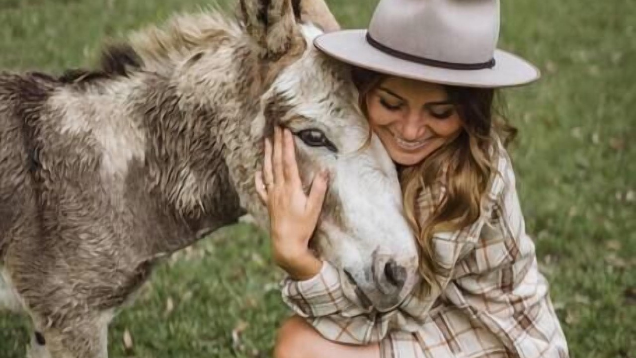 Photo of Others in Barrengarry