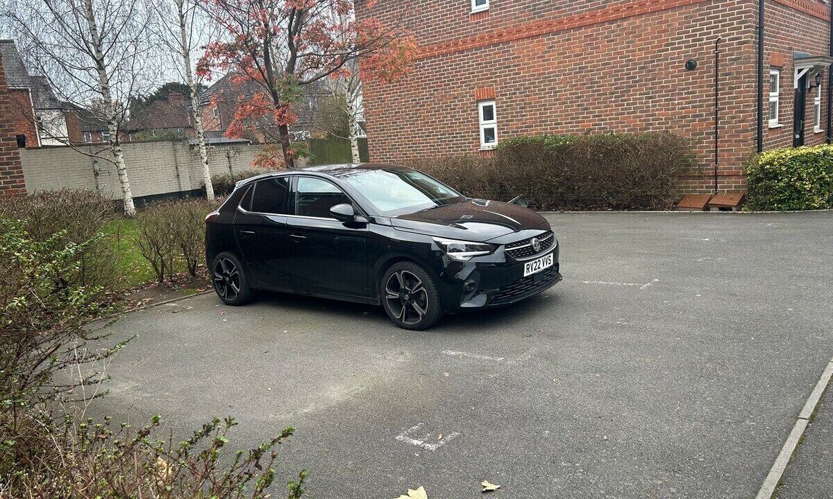 Photo of Others in Maidenhead