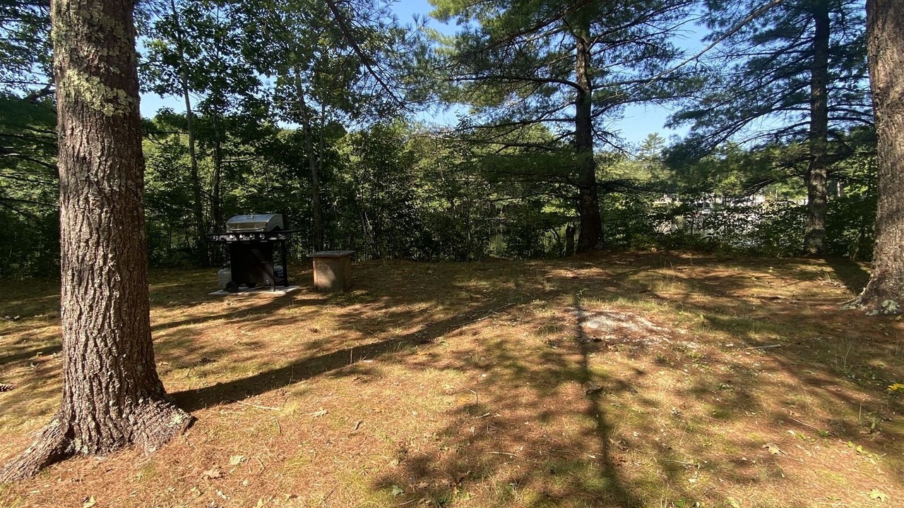 Photo of Others in Bristol