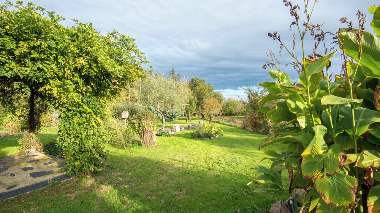 Photo of Outdoor in Saint-Melaine-sur-Aubance