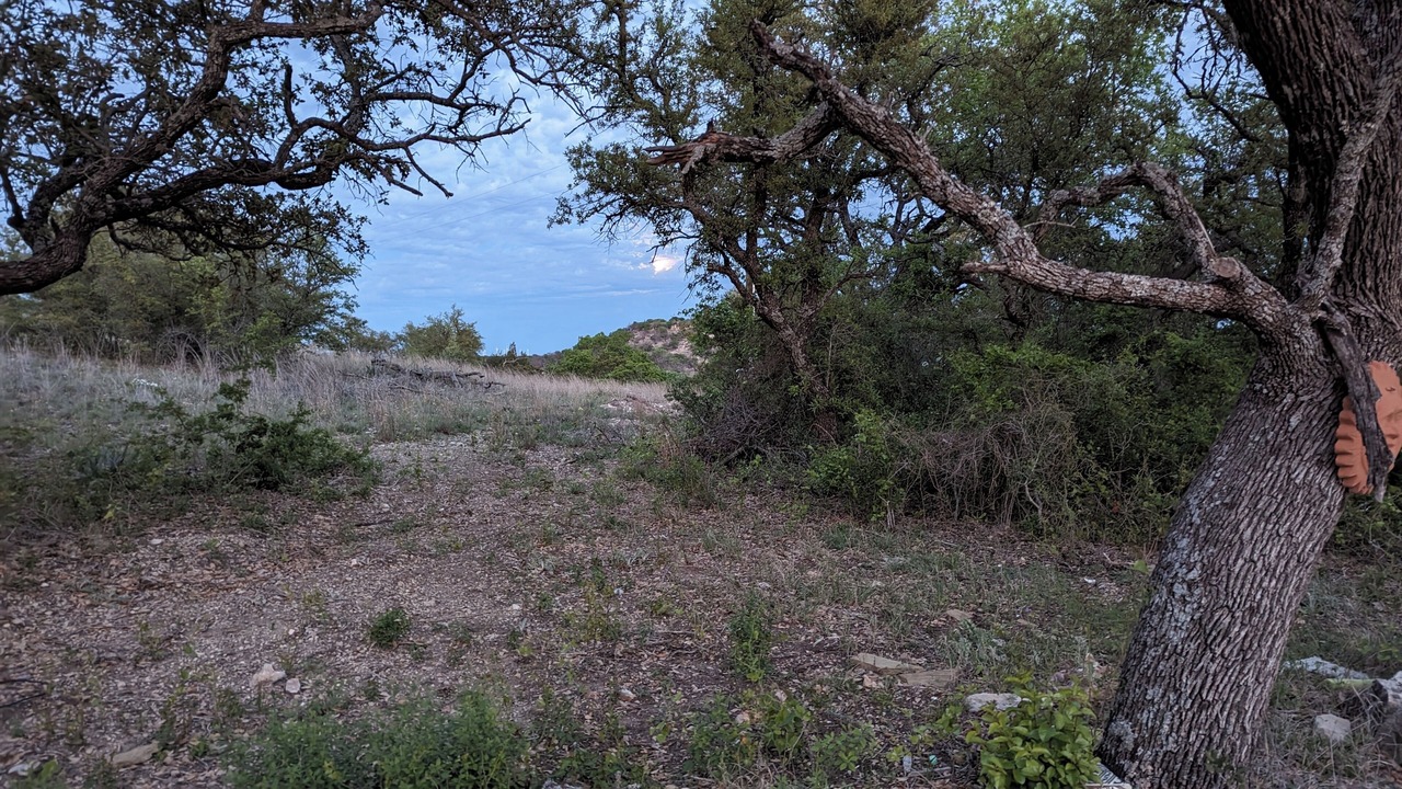 Photo of Others in May