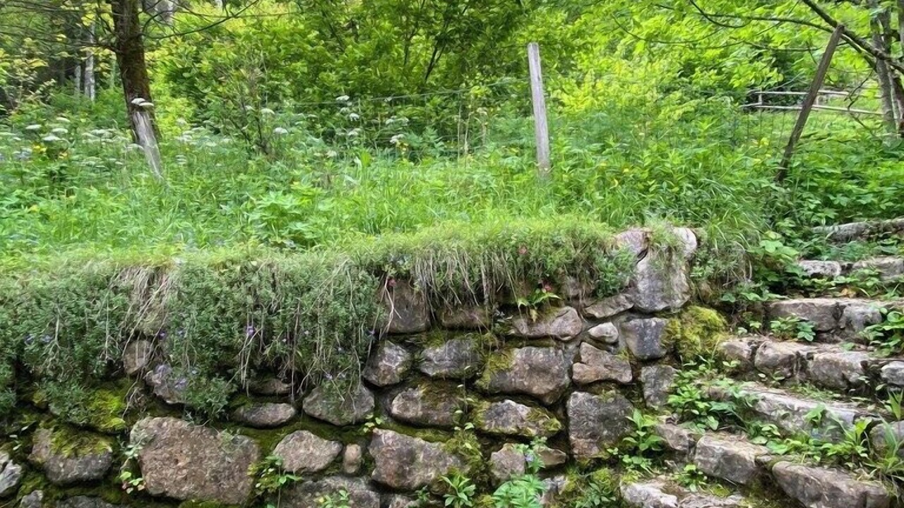 Photo of Outdoor in Saint-Pierre-de-Chartreuse