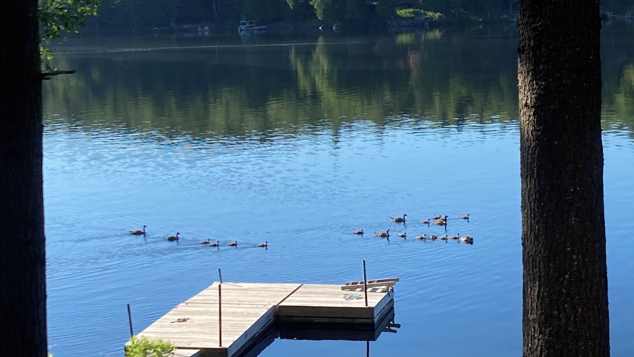 Photo of Others in Long Lake