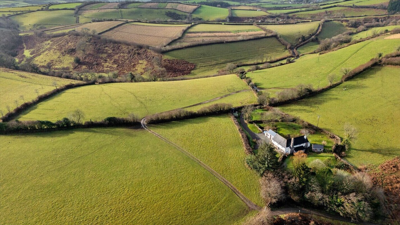 Photo of Outdoor in South Molton