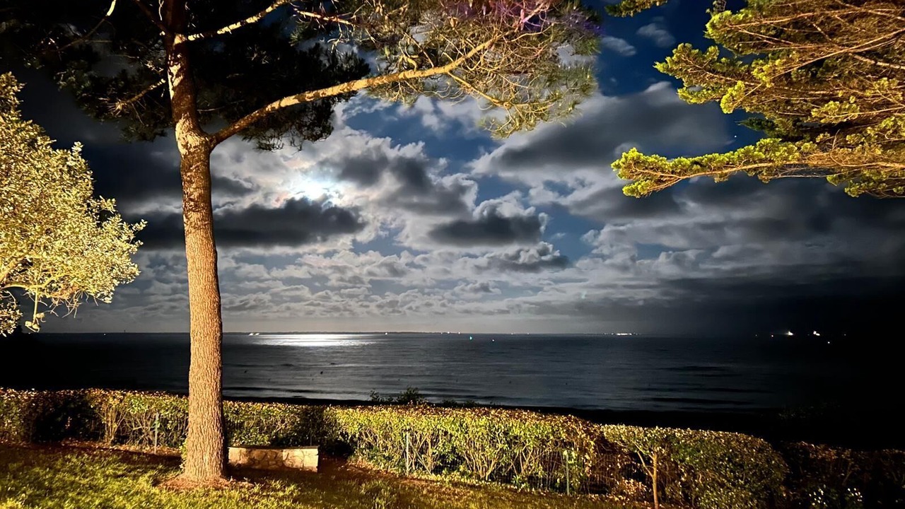 Photo of Others in Saint-Marc-sur-Mer