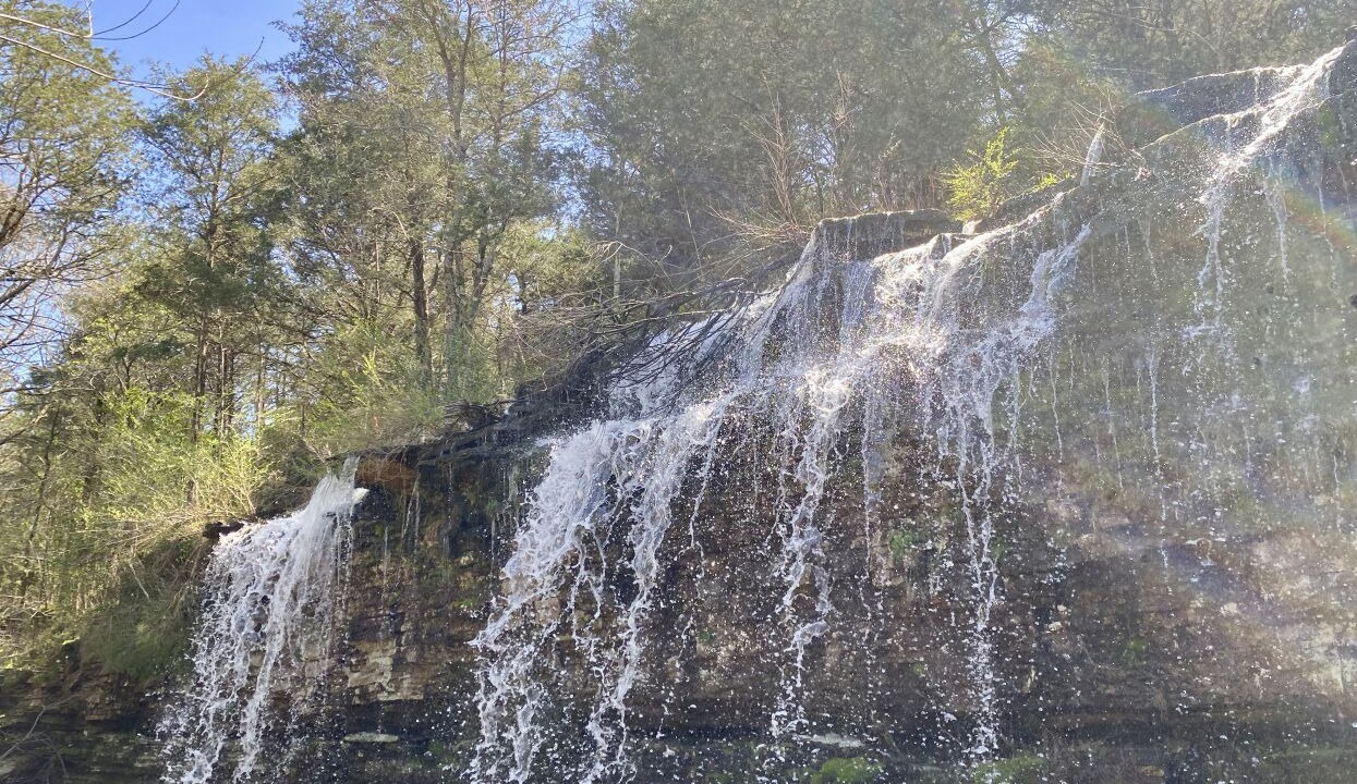 Photo of Outdoor in Cecil