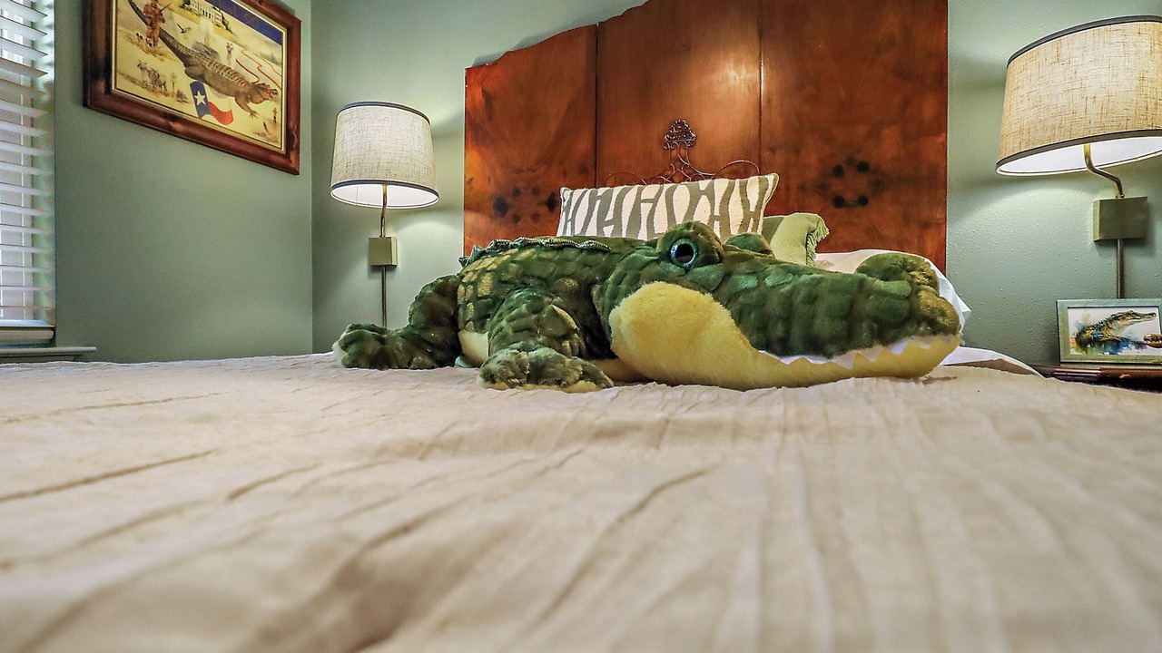 Photo of Bedroom in Anahuac